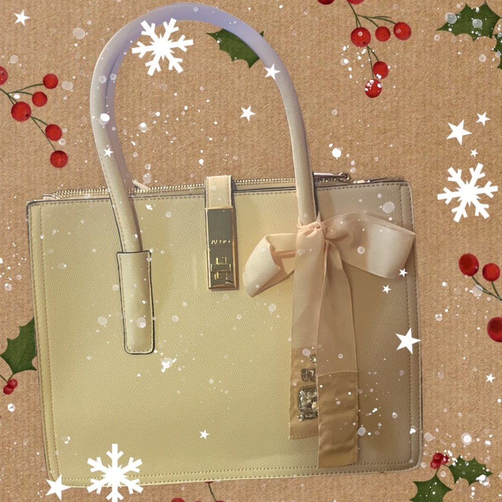 ALDO GARAROGE PURSE